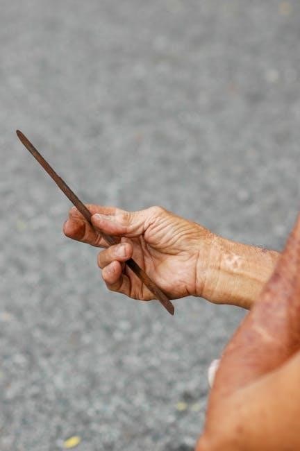 worcester comfort 2 rf manual